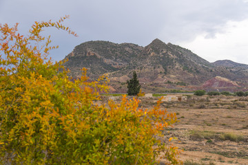 Fototapeta premium Precioso fondo montañoso sobre una otoñal flora con toda su belleza y color