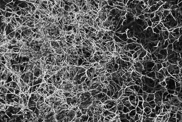 abstract background