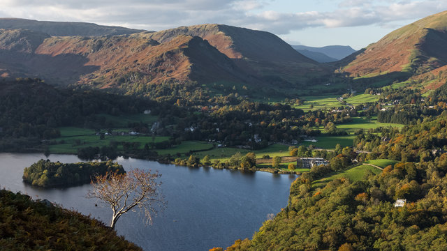 lone tree at grasmere vista