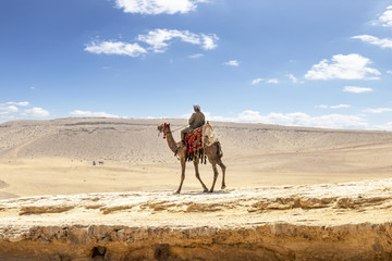 Bedouin on camel near pyramids in desert