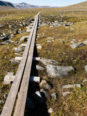 footpath in the mountains in northern sweden
