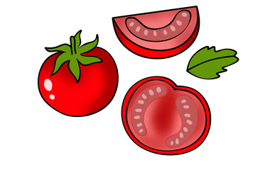 Set of red tomatoes with slices and leaves. Leaf of basil on white background.