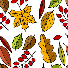 Seamless pattern with autumn leaves. Marple and oak leaf on white background. Wallpapern and fabric design.