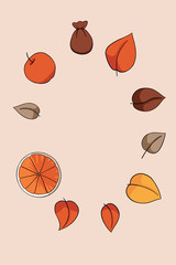 Apple spice - isolated set of elements on blush background 