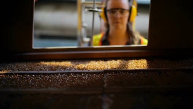 Wheat threshing in factory 4k
