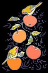 Obraz na płótnie Canvas Isolated birds and apples illustration on black background