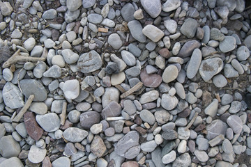Stone beach floor background texture of pepple beach stones