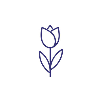 Tulip line icon. Nature, botany, beauty. Flower concept. Vector illustration can be used for topics like nature, beauty, biology. 