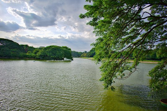 LAKE VIEW IN LALBAGH