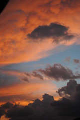 Orange Sky