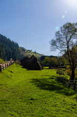Carpathian mountains in sunny day in the autumn season