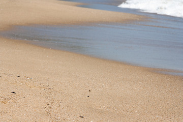 Wet sand near the beach