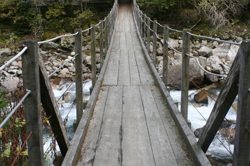 Obraz premium Hängebrücke im Wald