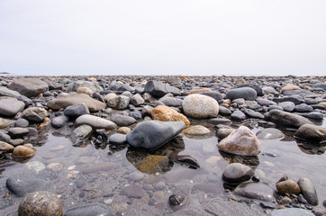 Rocky shoreline along the Atlantic coast of Maine, near Portland, on an overcast spring day