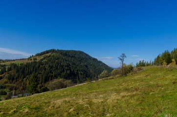 Carpathian mountains in sunny day in the autumn season
