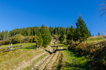 Carpathian mountains in sunny day in the autumn season