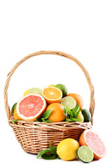 Citrus fruits in basket isolated on white background