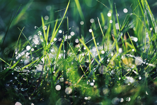 Morning dew experiment 