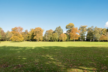Trees & Woodlands in Autumn Colours