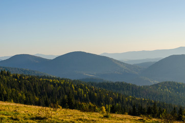 Obraz premium Carpathian mountains in sunny day in the autumn season