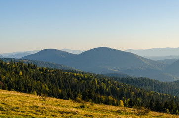 Plakat Carpathian mountains in sunny day in the autumn season
