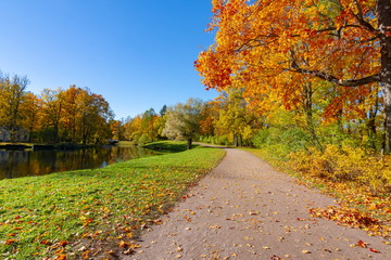 Golden autumn (fall) in Alexander park, Tsarskoe Selo (Pushkin) Saint Petersburg, Russia
