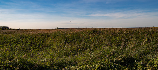 Obraz premium Norfolk Coastal Marshes