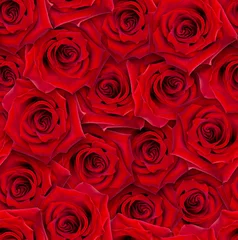 Printed kitchen splashbacks Roses Seamless floral pattern. Chaotic arrangement of buds. Red rose flower.