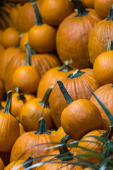 Pumpkins as a symbol of Thanksgiving