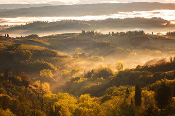 Naklejka na ściany i meble Landscape with a morning fog and vineyards in the vicinity of the city of San Gimignano, Tuscany