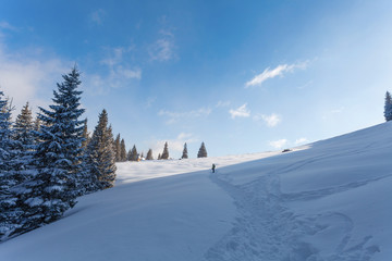 Winter landscape of tourist walking to the "Rusinowa Polana" - glade in Tatry Mountains, Poland © lukszczepanski