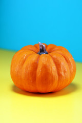 orange pumpkin on colorful background. Autumn harvest