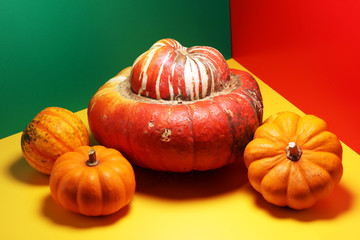 Diverse assortment of pumpkins on colorful background. Autumn harvest..