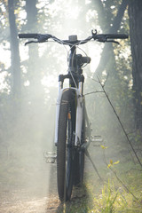 Fototapeta na wymiar Mountain bike in the forest is sundered by a ray