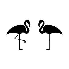 Flamingo icon, logo on white background