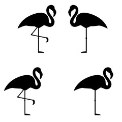 Flamingo icon, logo on white background