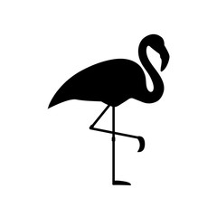 Flamingo icon, logo on white background