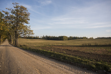 Fototapeta na wymiar Autumn panorama. Landscape view. Autumn sunny day