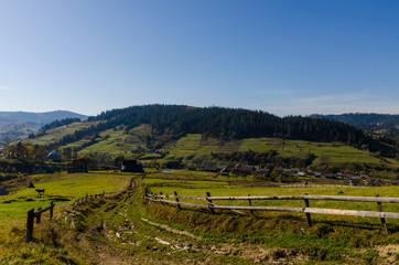 Carpathian mountains in sunny day in the autumn season