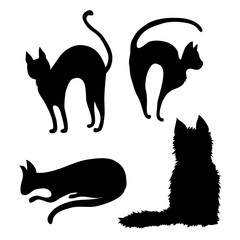 vector black cats
