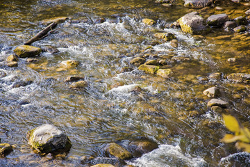 River water flowing through stones. Sunny autumn day.