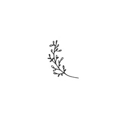 Vector floral hand drawn element in elegant and minimal style.