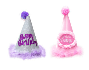 Two Fancy Furry Birthday Hats