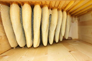 Bienenwaben Naturbau wesensgem&auml;sse Imkerei mit der Bienenkiste