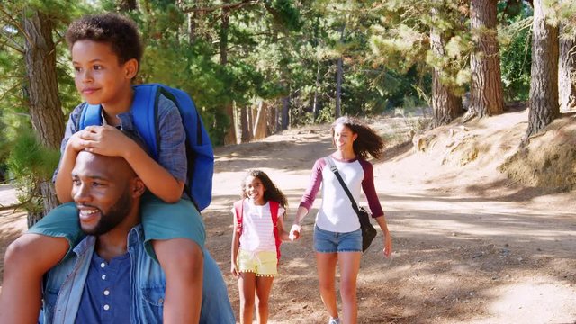 Family On Hiking Adventure Through Forest