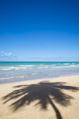 Fototapeta na wymiar Palm tree shadow on empty shore of bright tropical beach in Bahia, Brazil