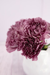 Beautiful carnation flowers on a light background