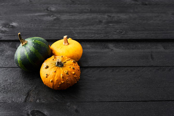 Simple autumn background with yellow, orange and green pumpkins on black wood with copy space. Top view.