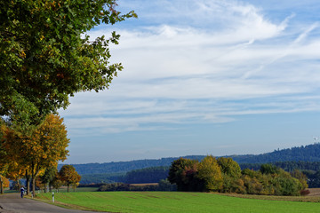beautiful autumn landscape
