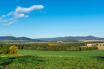 Bennachie Countryside